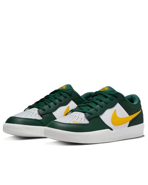 Nike Blue Force 58 Sb Premium 'Gorge Tour' for men