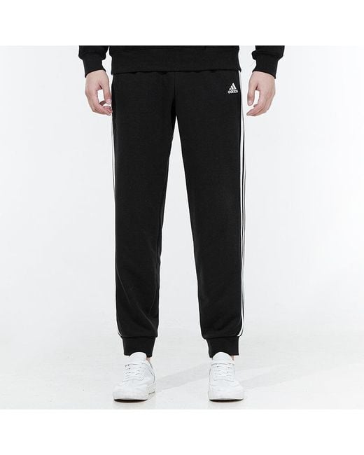 Adidas Black 3S Ft Tc Pt Small Knit Sports Pants/Trousers/Joggers for men