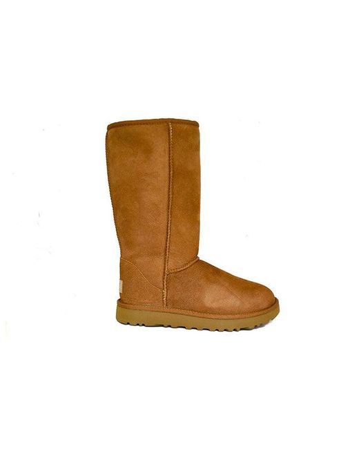 Ugg Brown (Wmns) Classic Tall Ii High Top Fleece Lined