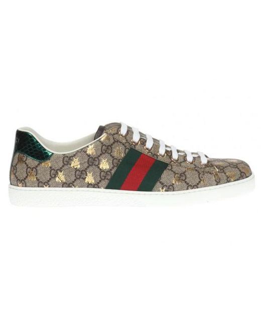 Gucci Brown Ace Gg Supreme 'Bees' for men