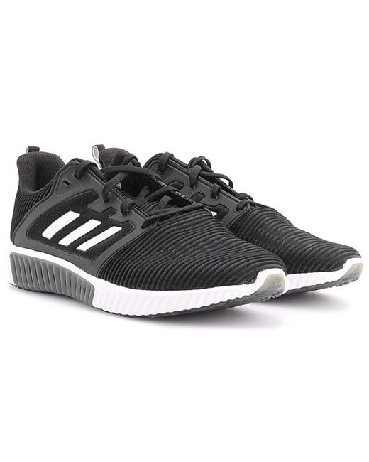 Adidas Black Climacool Vent for men