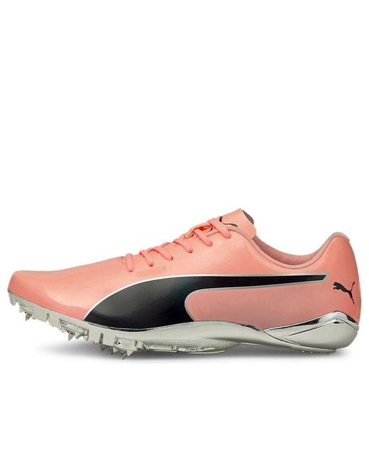 PUMA Evospeed Electric 10 in Pink for | Lyst