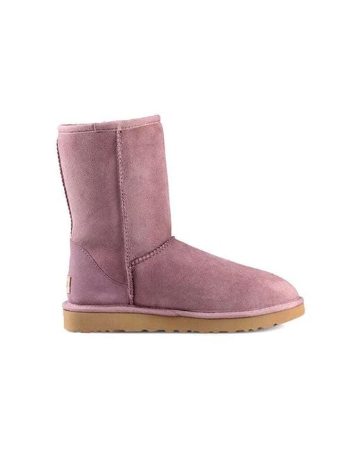 Ugg Purple (Wmns) Classic Short Ii