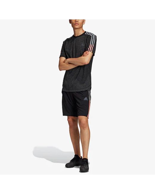 Adidas Black Tan Tec Tee 2 Soccer/Football Training Breathable Sports Short Sleeve for men
