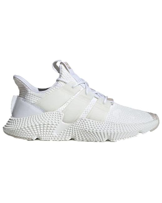 Adidas White Prophere for men
