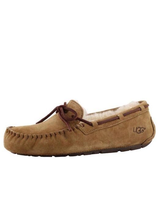 Ugg Brown (Wmns) Dakota Slipper