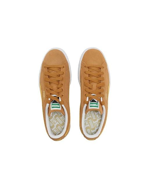 PUMA Brown Suede Classic 21 'Desert Tan' for men