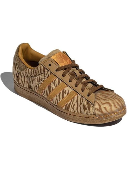 Adidas Brown Melting Sadness X Originals Superstar 2022 Cny for men