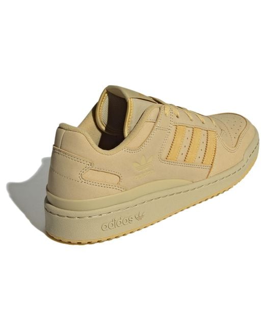Adidas Brown Forum Low 'Wheat' for men