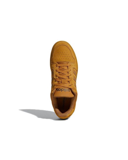 Adidas Brown Entrap for men
