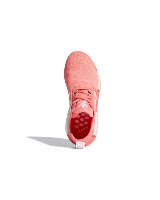 Adidas Pink (Wmns) Nmd_R1 'Semi Flash'
