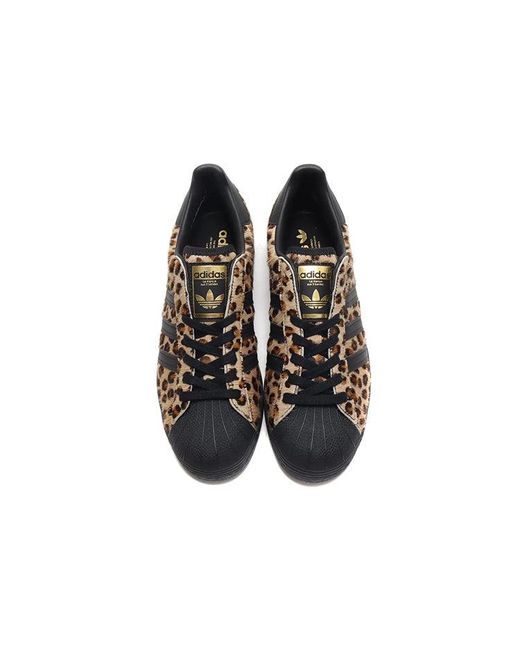 Adidas Brown X Atmos Superstar 'Cheetah' for men