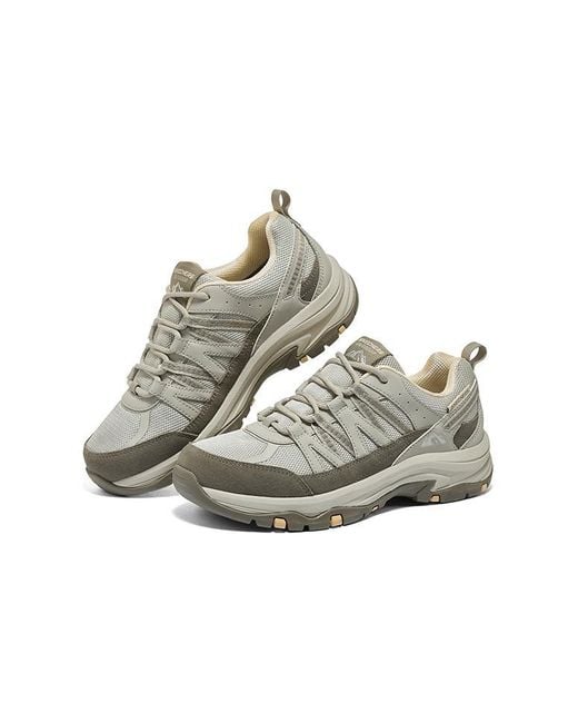 Skechers Gray (Wmns) Relaxed Fit Trego 'Taupe'