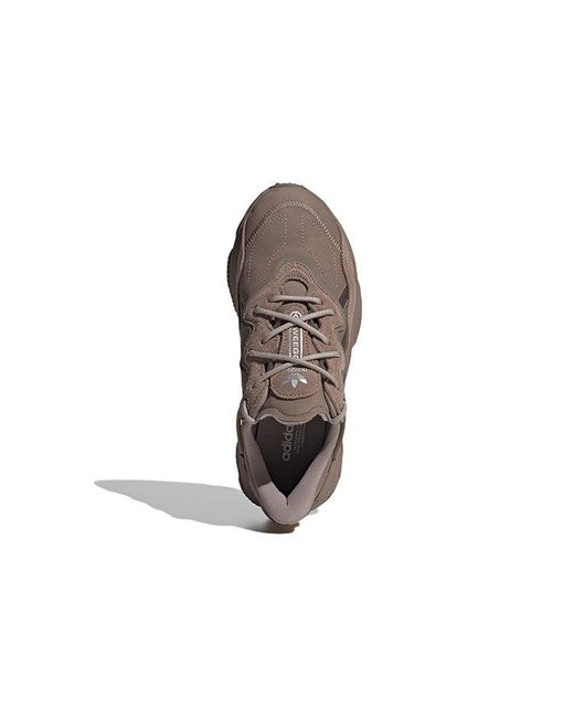 Adidas Brown Ozweego