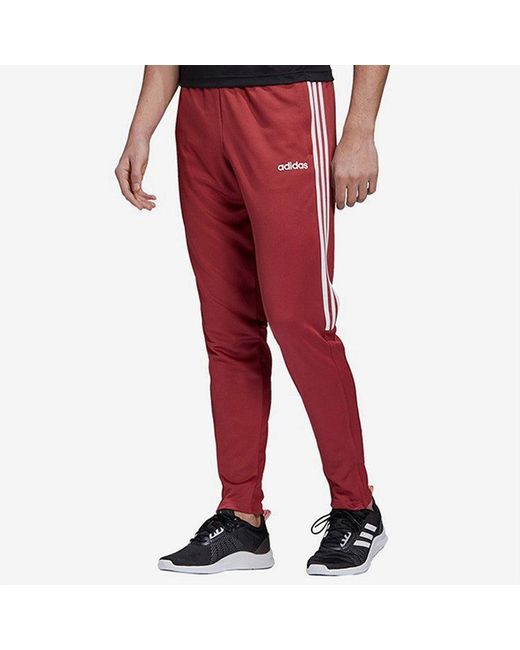 Adidas Red Leisure Sports Running Small Feet Knitted Trousers for men
