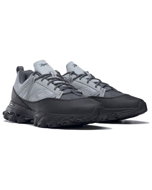 Reebok Blue Dmx Trail Shadow