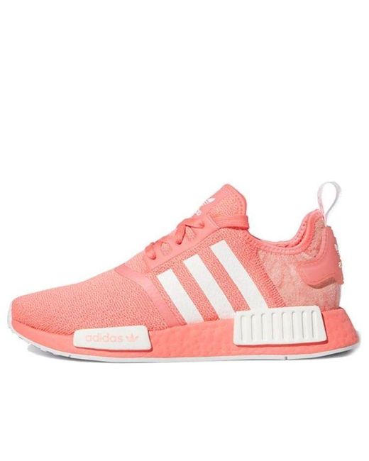 Adidas Pink (Wmns) Nmd_R1 'Semi Flash'