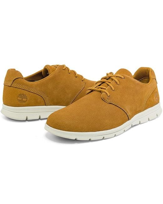 Timberland Brown Graydon for men