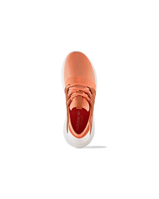 Adidas Brown (Wmns) Tubular Viral 'Easy'