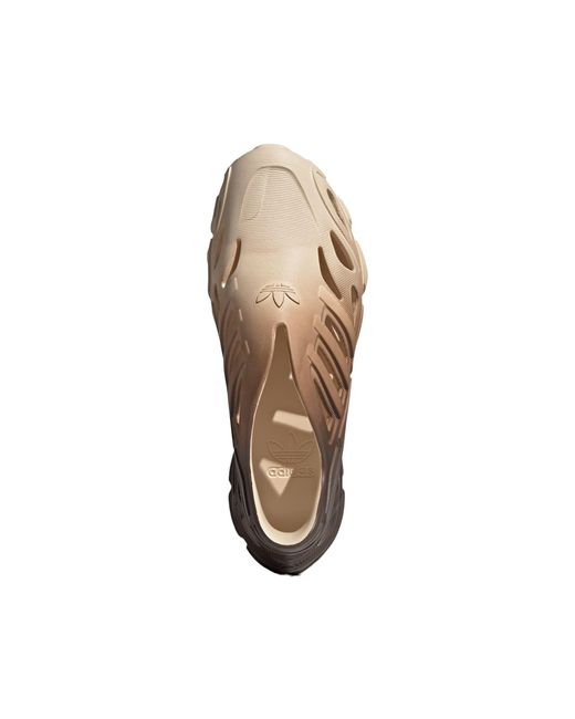 Adidas Brown Adifom Supernova 'Sand Strata' for men
