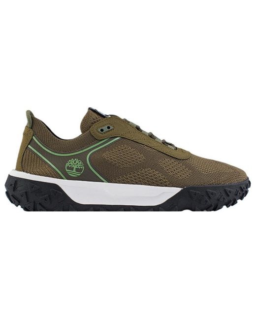 Timberland Brown Greenstride Motion 6 Sneakers for men