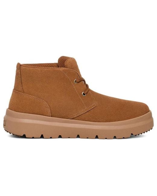 Ugg Brown Burleigh Chukka Boot 'Chestnut' for men