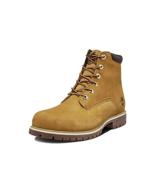 Timberland Natural 6 Inch Basic Alburn Waterproof Boots 'Wheat' for men