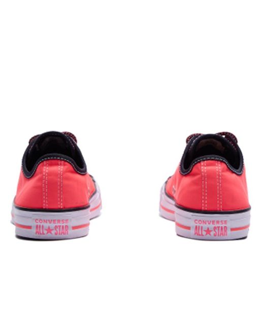 Converse Pink Chuck Taylor All Star for men