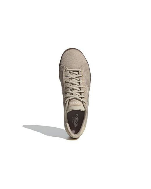 Adidas Brown Daily 3.0 'Savanna' for men
