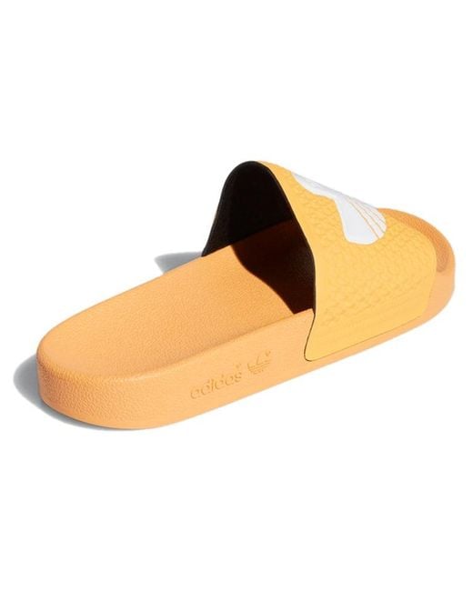 Adidas Yellow Mark Gonzales X Shmoofoil Slide 'Hazy' for men