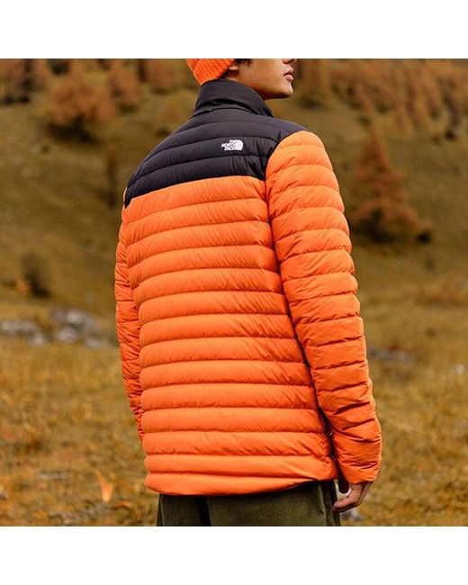 The North Face Orange Nuptse Jacket 700 for men