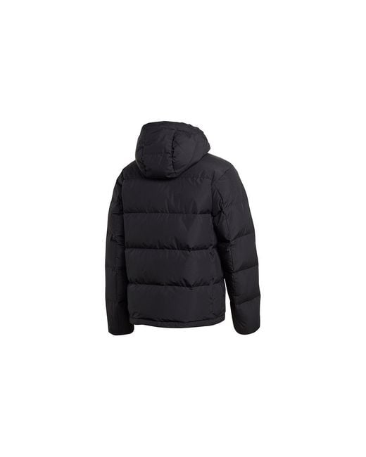 Adidas Blue Sports Windproof Stay Warm Hooded Down Jacket for men