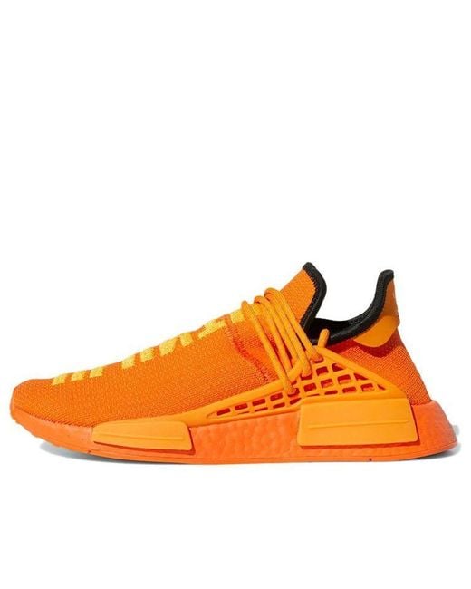 adidas Originals Adidas Pharrell X Nmd Human Race 'orange' for Men | Lyst