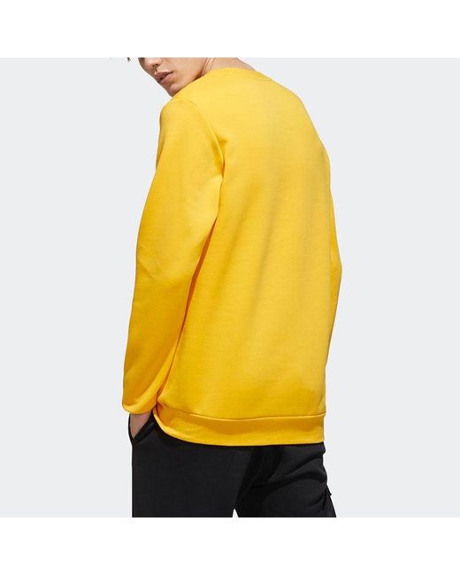 Adidas Yellow Neo M Cs Vrsty Sw Logo Printing Knit Sports Round Neck Pullover for men