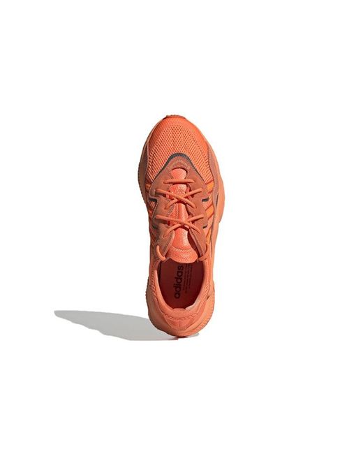 Adidas Orange Ozweego 'Bold' for men