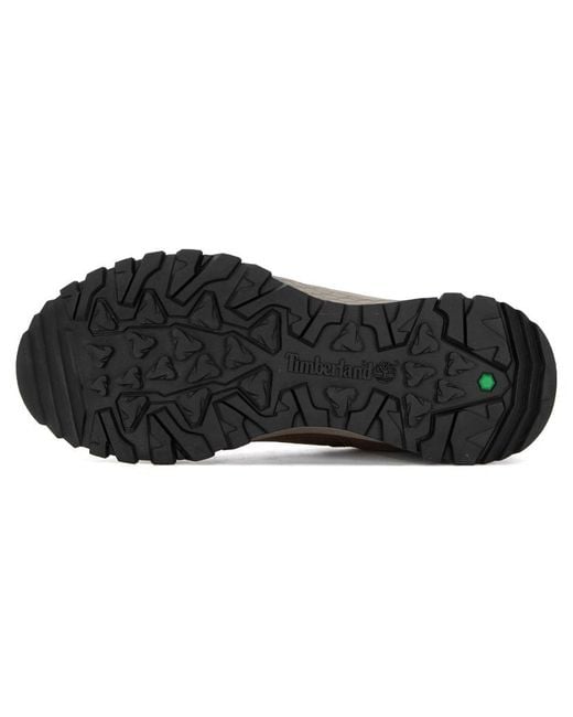 Timberland Brown Lincoln Peak Low Hiker Shoes 'Dark' for men
