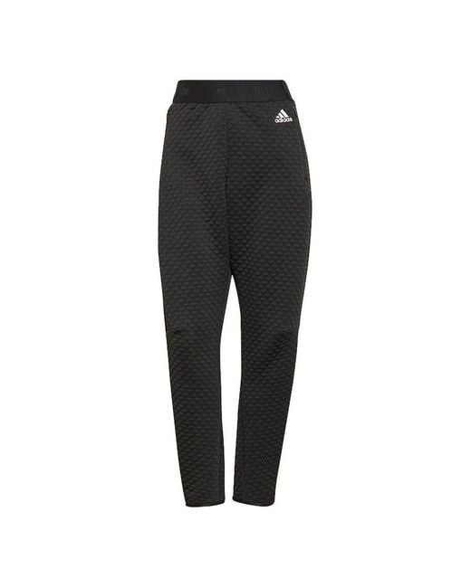 Adidas Black (Wmns) Z.N.E. Sportswear Pants