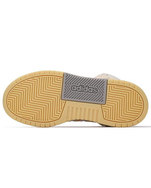 Adidas Natural (Wmns) Neo Entrap Mid Sneakers/Shoes