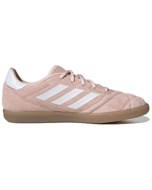 Adidas Pink Sala Court for men