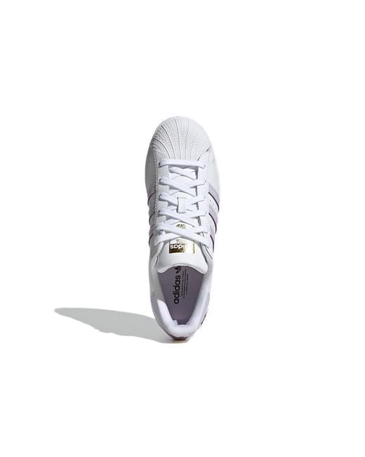 Adidas White (Wmns) Superstar Tint'