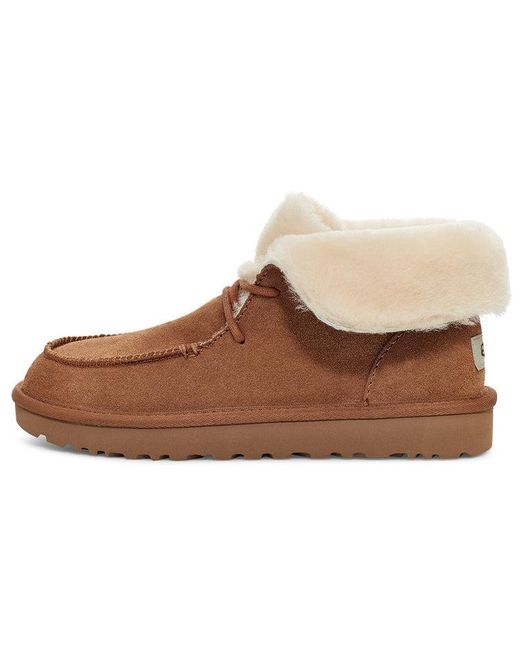 Ugg Brown (Wmns) Diara Lacing Fleece Lined