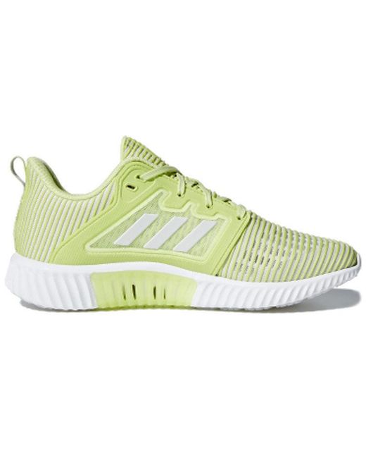Adidas White (Wmns) Climacool Vent W