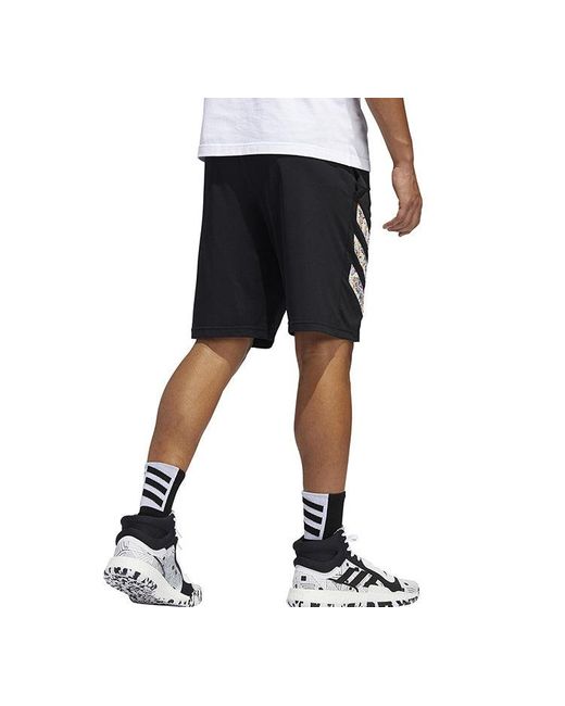 Adidas Black Training Dri-Fit Sports Shorts for men