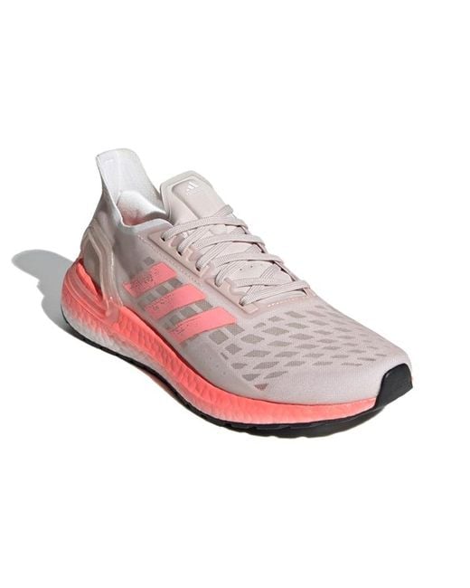 Adidas Pink (Wmns) Ultraboost Pb 'Echo'