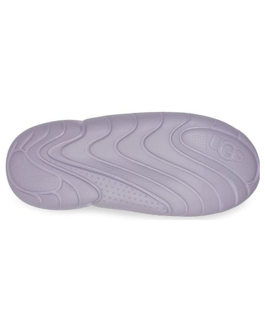 Ugg Purple (Wmns) La Cloud Lace