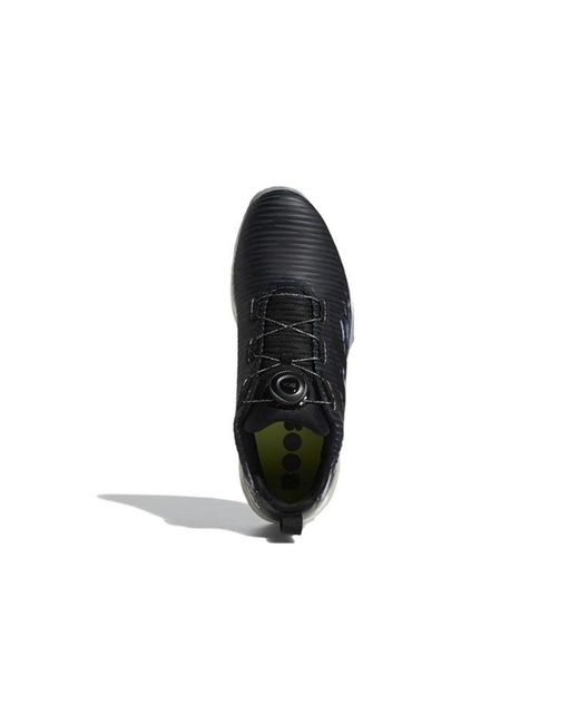 Adidas Blue Codechaos Boa Low for men