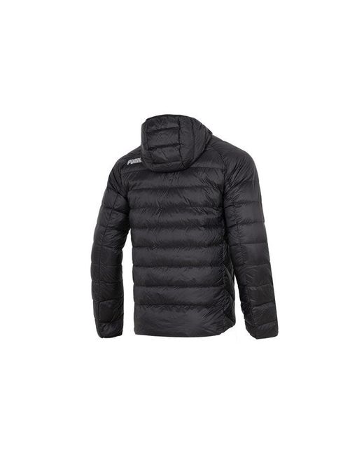 PUMA Blue Winter Jacket for men