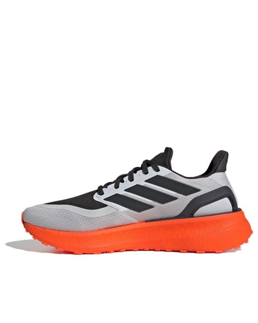 Adidas Blue Pureboost 5 for men