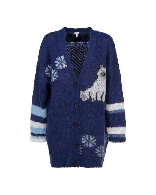 Loewe Blue (Wmns) Ss21 Large Multi-Color Cardigan