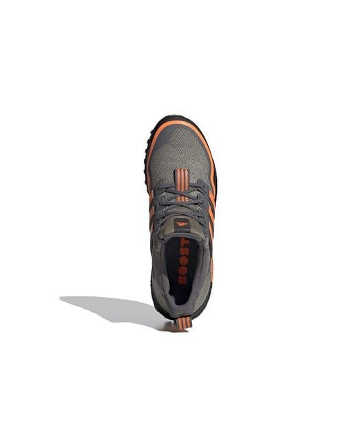 Adidas Blue Ultra Boost All Terrain for men